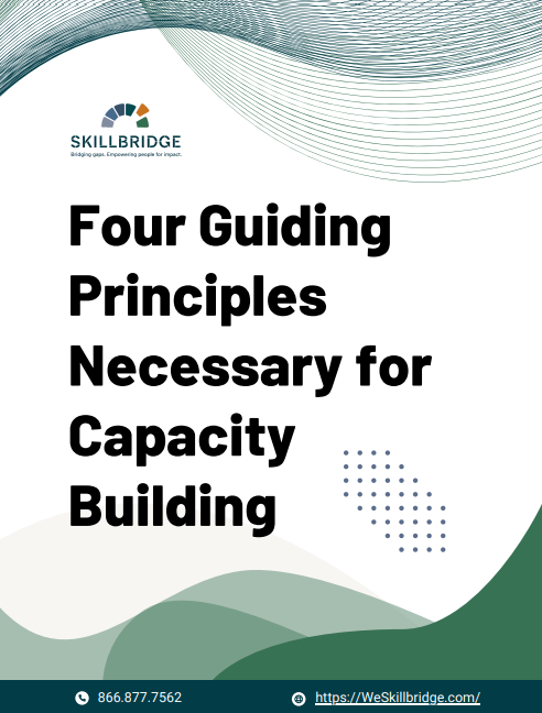 Four Guiding Principles Necessary for Capacity Building